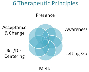 6 Therapeutic Principles